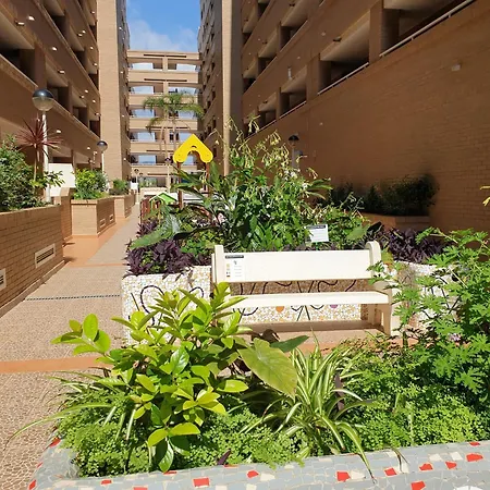 Jardin126med019